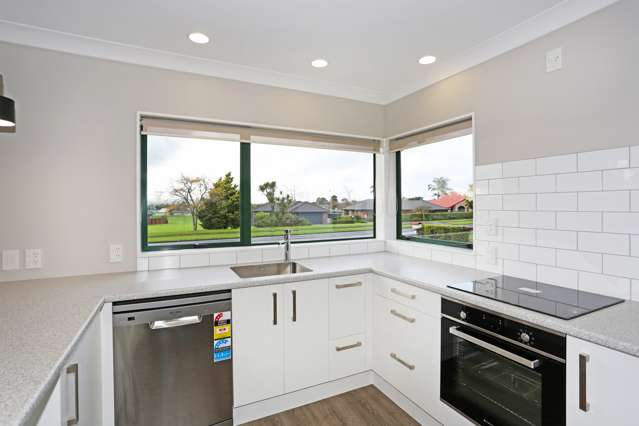 3 Puni Road Pukekohe_2