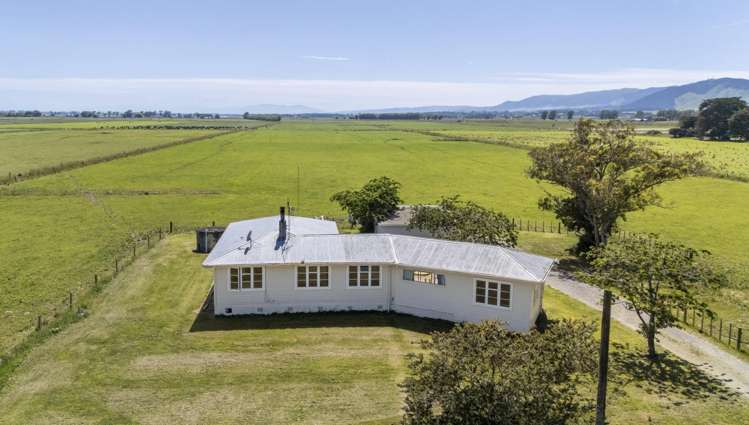 145 Campbells Road Opiki_16