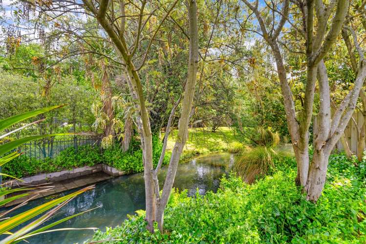 11 Palmside Street Somerfield_13