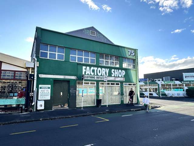 75 Dominion Road Mt Eden_1