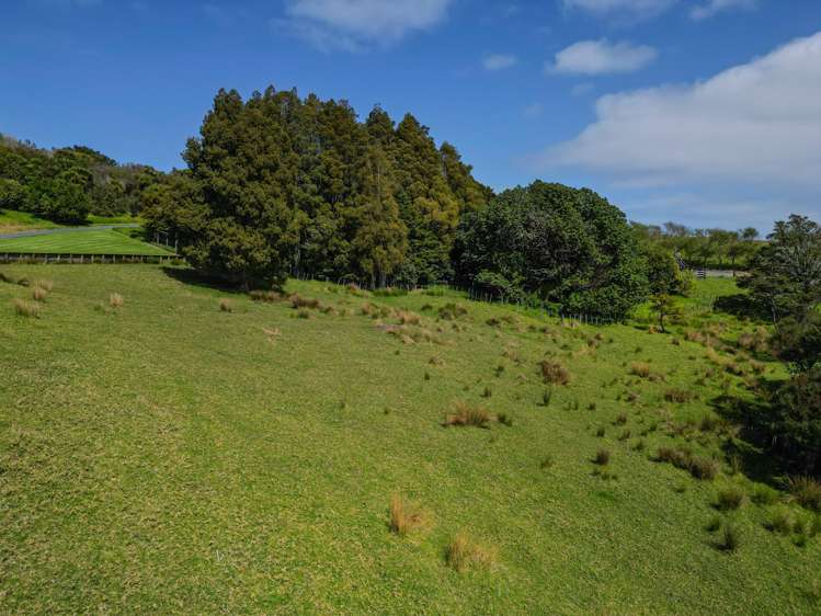 38 Kaipara View Road Waimauku_33