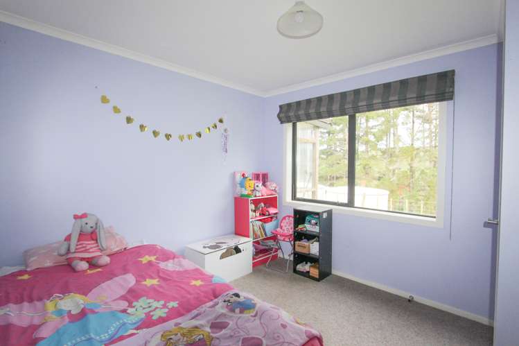 105 Thompsons Road Pahiatua_8