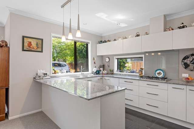 28b Francis Street Blenheim Central_2