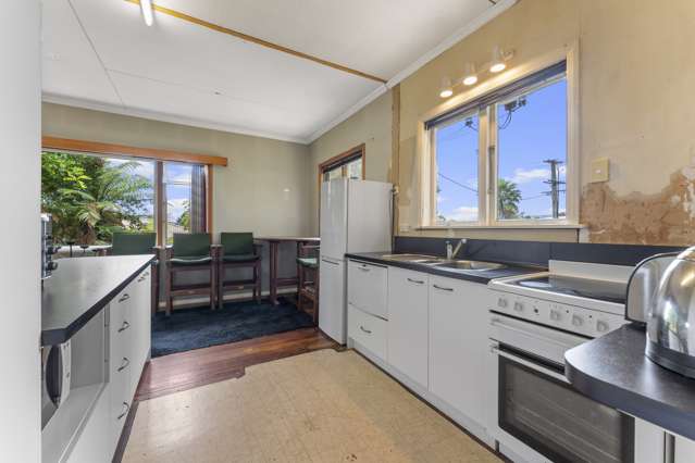 17 Argyle Avenue Levin_3