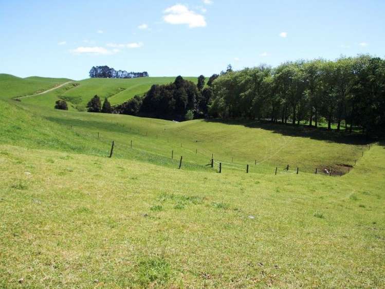 Otaraoa Road Tarata_6