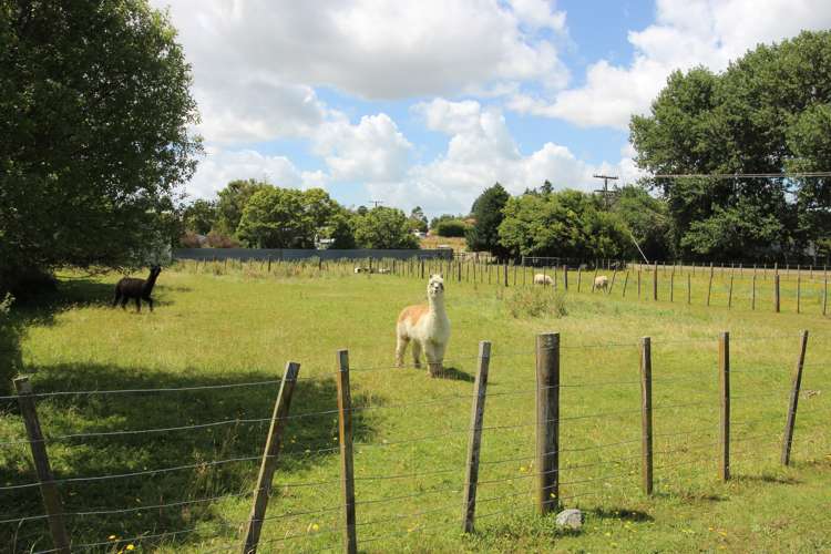 36 Burgoyne Street Woodville_3