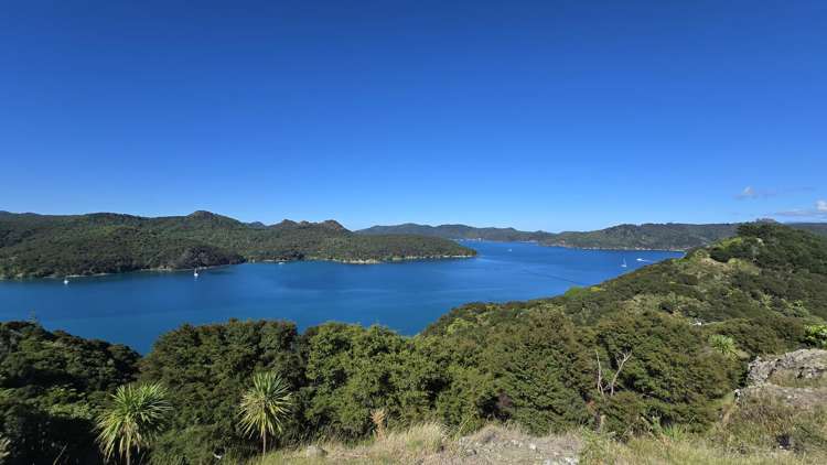 205 Kaiaraara Bay Road Great Barrier Island (Tryphena)_7