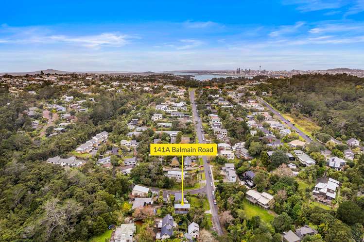 2/141 Balmain Road Birkenhead_17