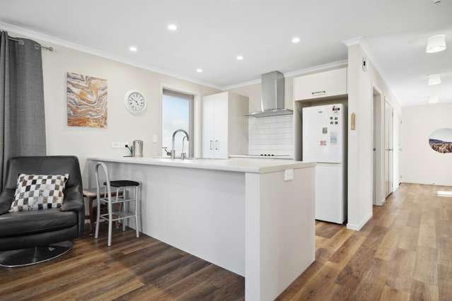 31 John Mcdonald Mews Masterton_3