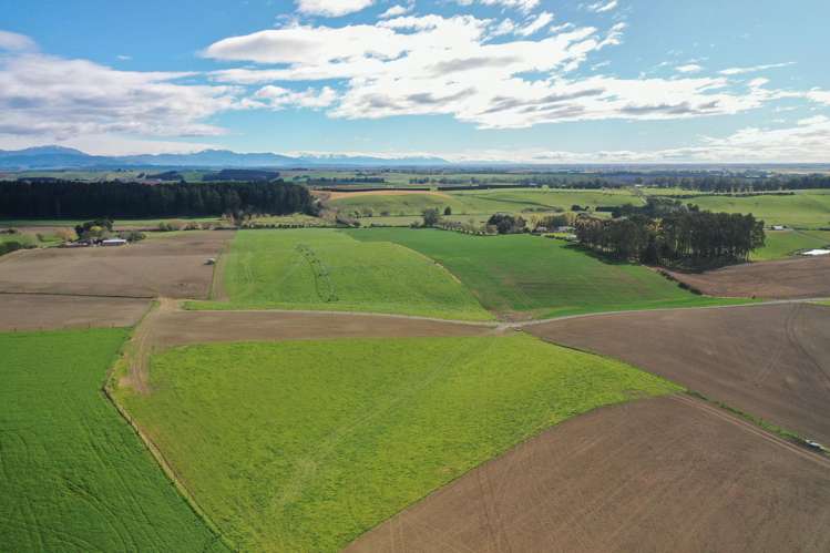 140 King Road Rosewill_7