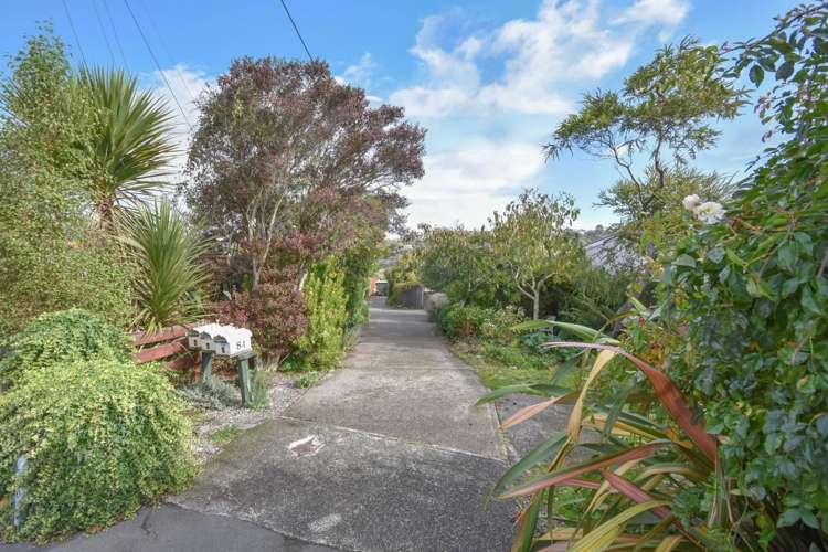 84b Hargest Crescent Saint Clair_12