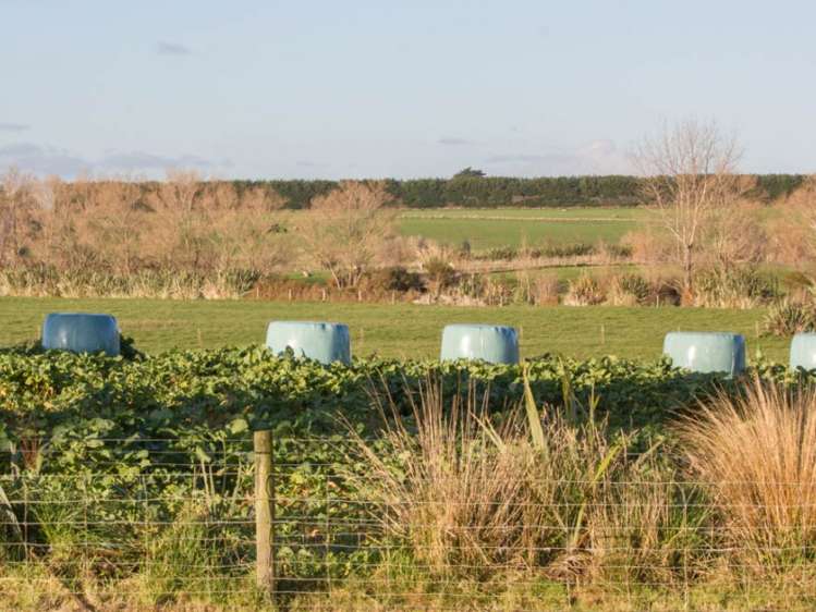 542 Flora East Makarewa_6