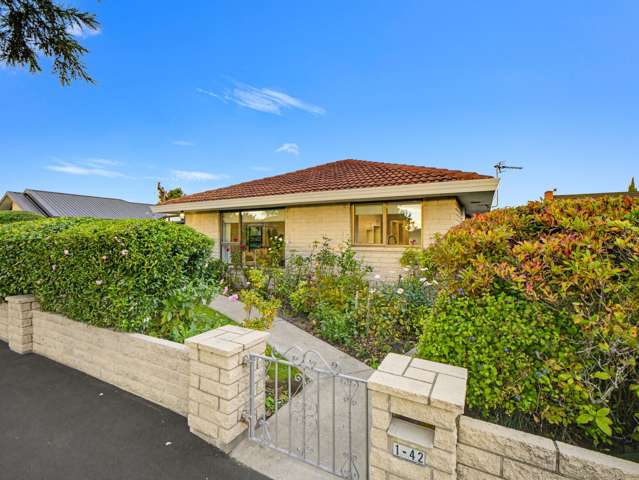 Settle Into Sunlit Simplicity