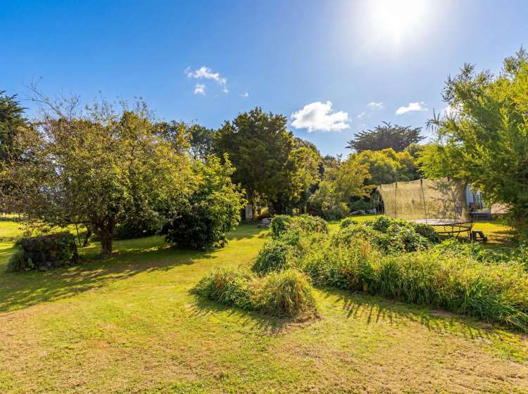 317 Wood Street Greytown_24