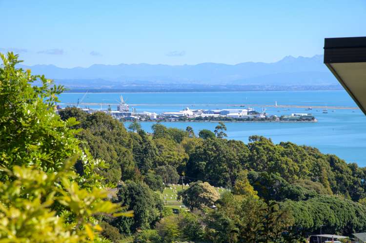 13 Chamerion Way Atawhai_8