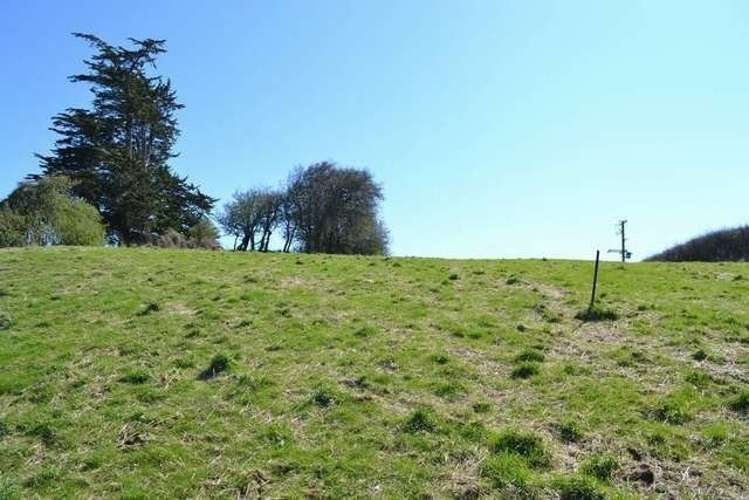 215 Green Island Bush Road Waldronville_13