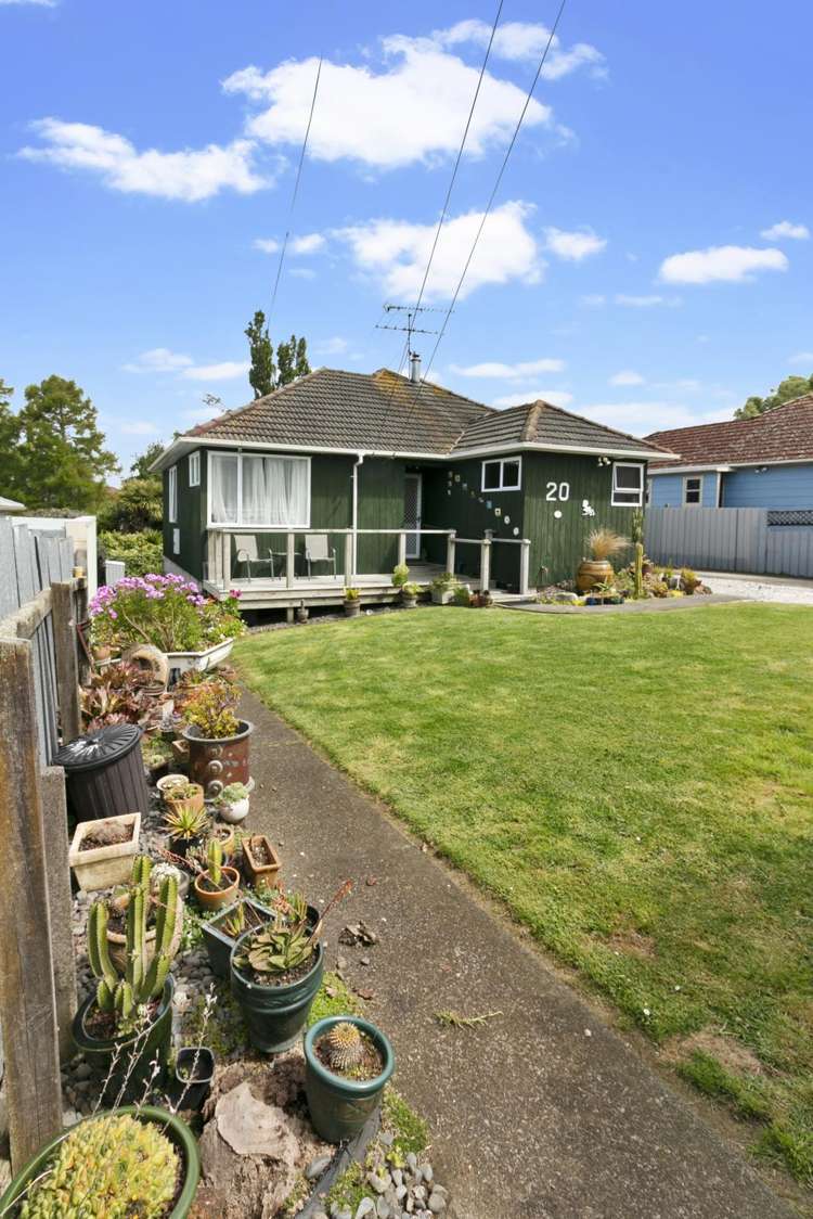 20 Larsen Road Panmure_2