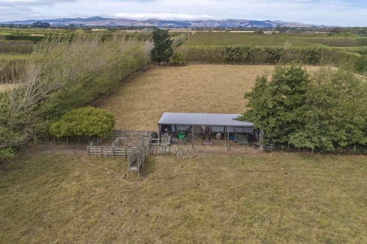 936 Tancreds Road Rolleston_13