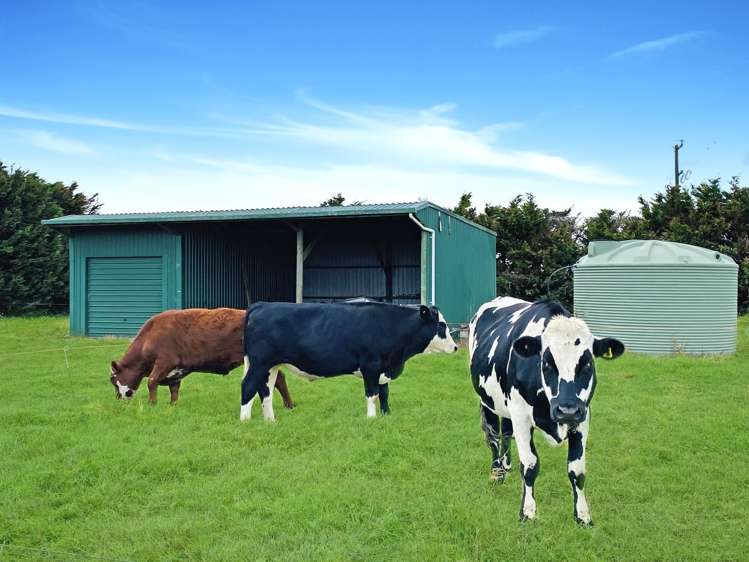 264 Lodore Road Okaihau_20