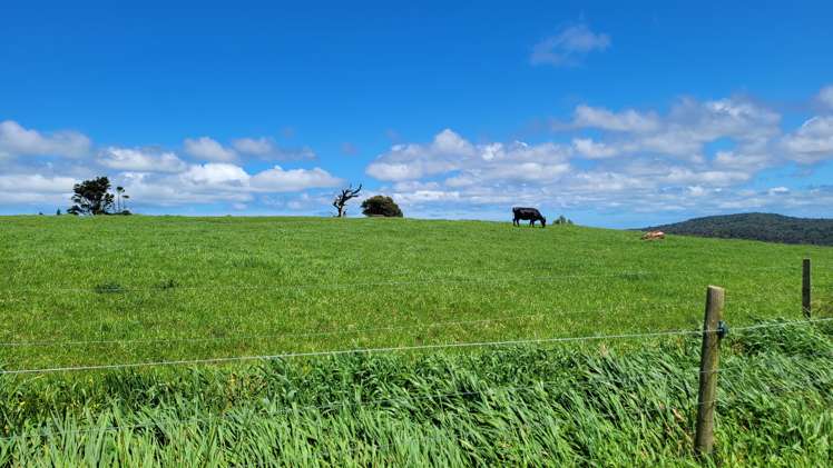 689 Mangatu Road Dargaville Surrounds_0