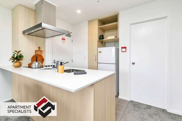 6 Winchester Street Grey Lynn_1