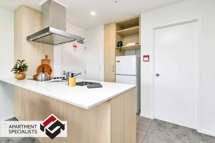 6 Winchester Street Grey Lynn_1