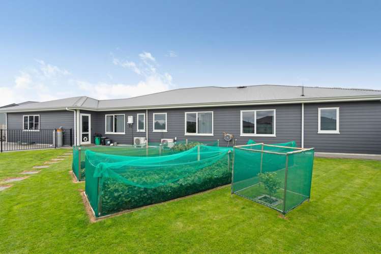 47 Gimson Street Masterton_22