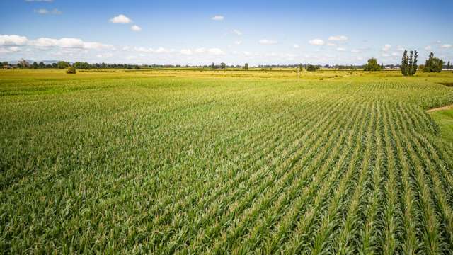 Grazing, Cropping