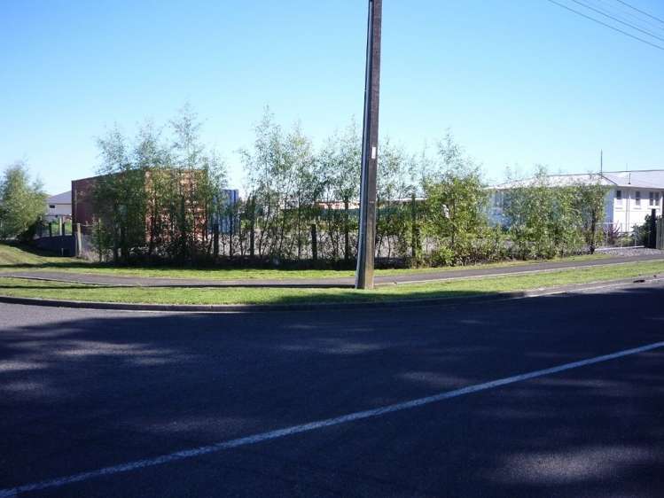 15 Wings Line Marton_9