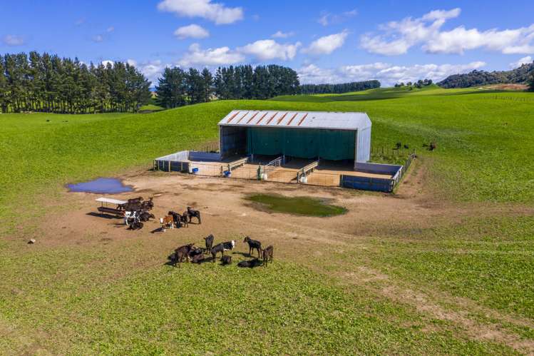 1274 Poihipi Road Oruanui_9