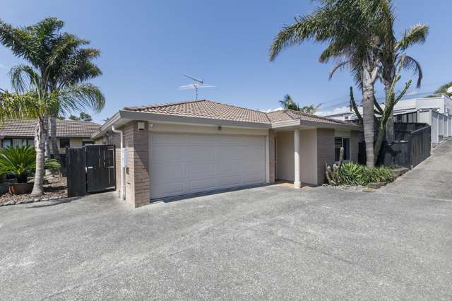 28a Ballarat Street Ellerslie_1