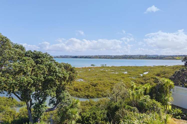 6A Pine Ridge Terrace Hauraki_14