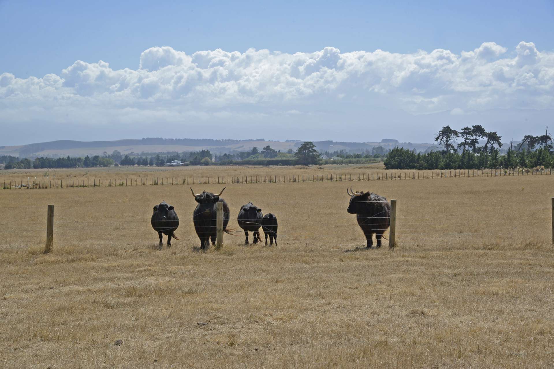 64 Fraters Road Martinborough_0