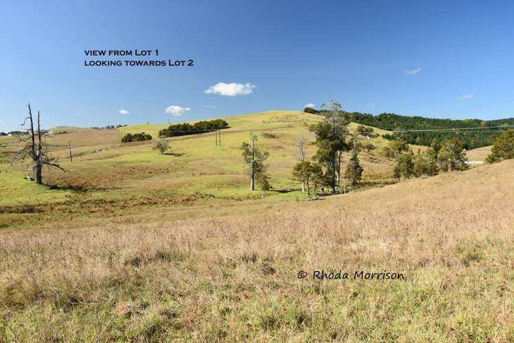 Golden Stairs Rd Maungaturoto_9