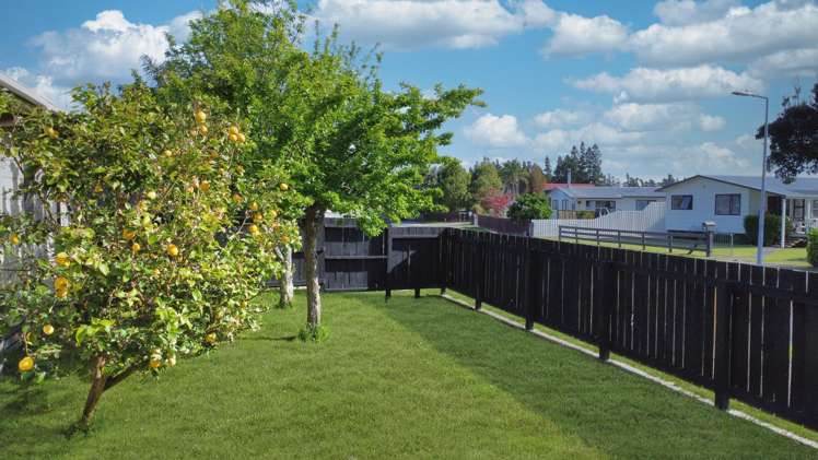 4A Kanuka Place Edgecumbe_14