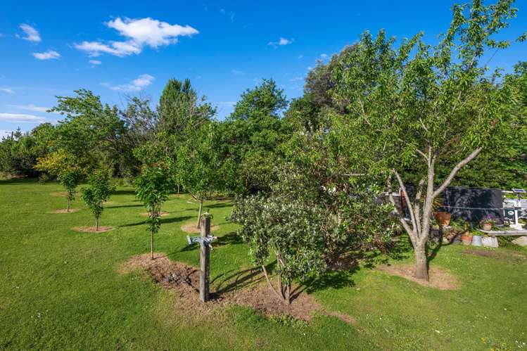 53 Broadway Picton_17