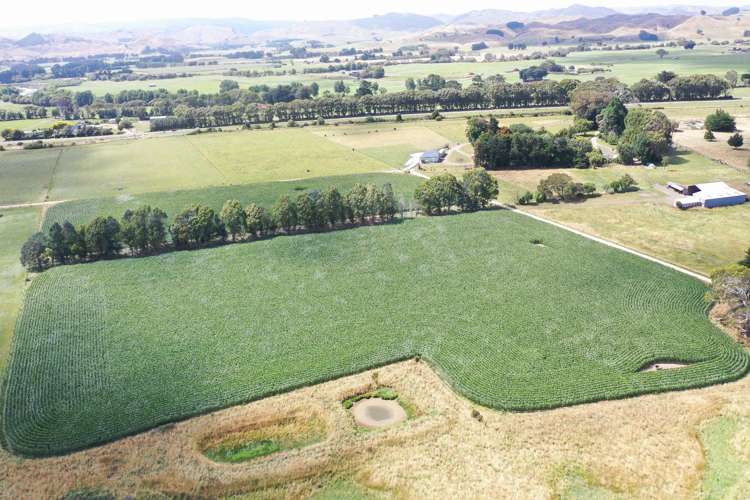 80922 State Highway 2 Pahiatua_10