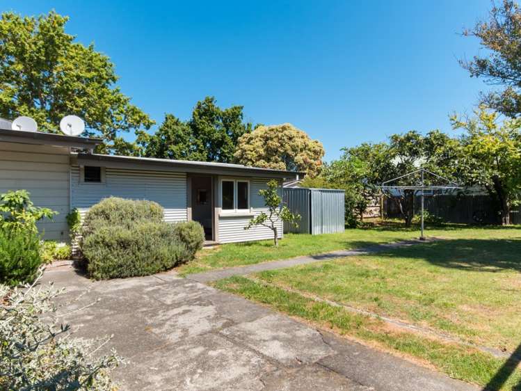 74 Vigor Brown Street Napier South_15