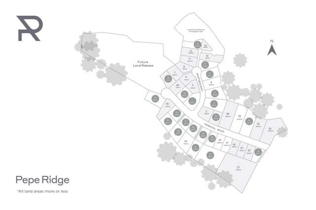 Pepe Ridge subdivison Tairua_4