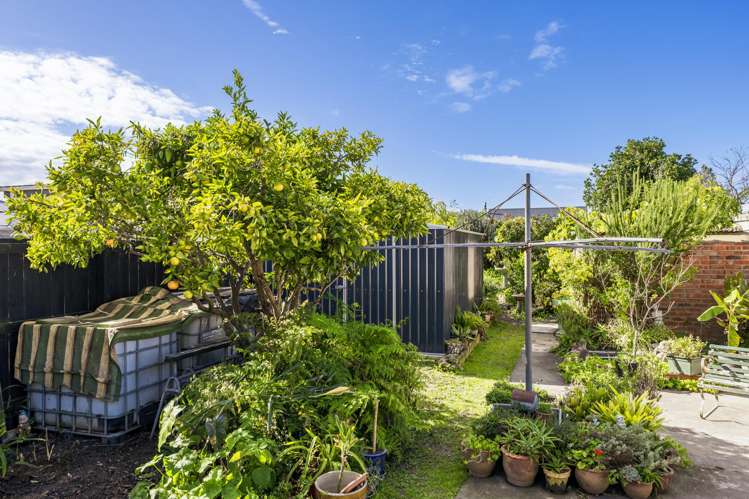 28 Nuffield Avenue Marewa_13