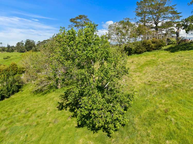 50 Ingleton Road Wellsford_9