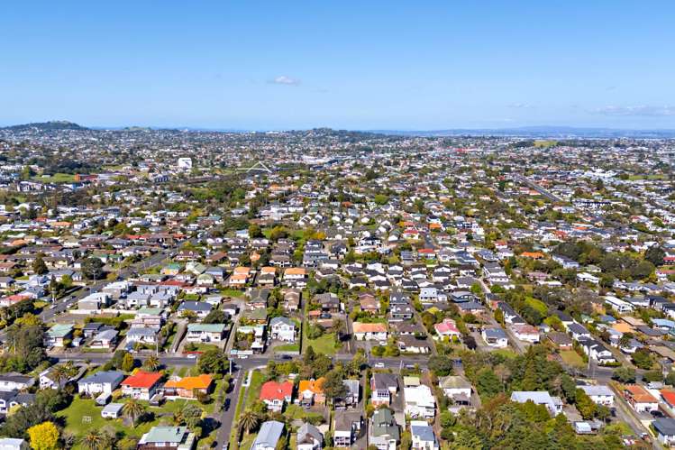 217 Blockhouse Bay Road Avondale_36