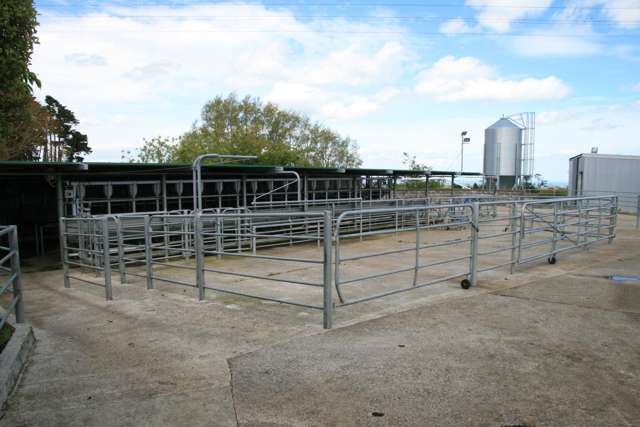 2105 Hastings Road Mahoe_2