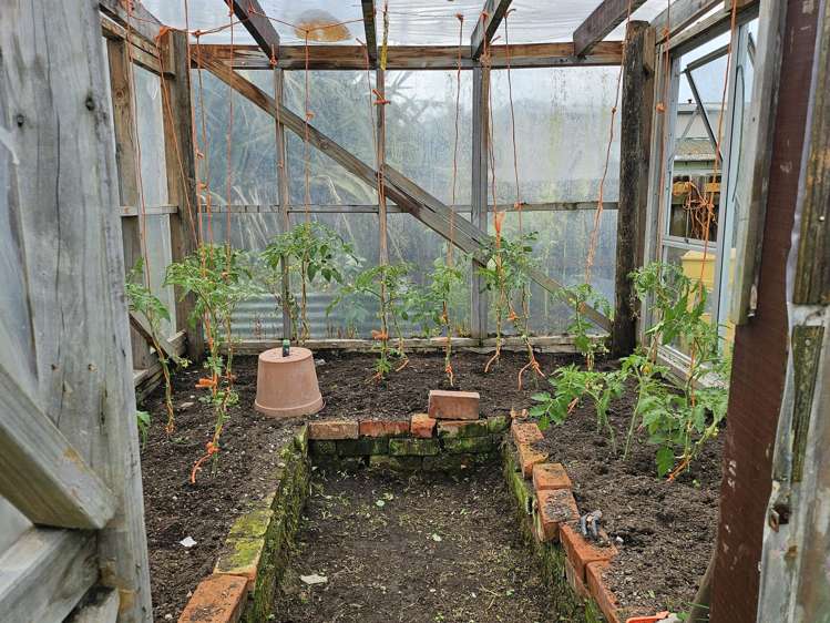 67 Bright Street Cobden_12