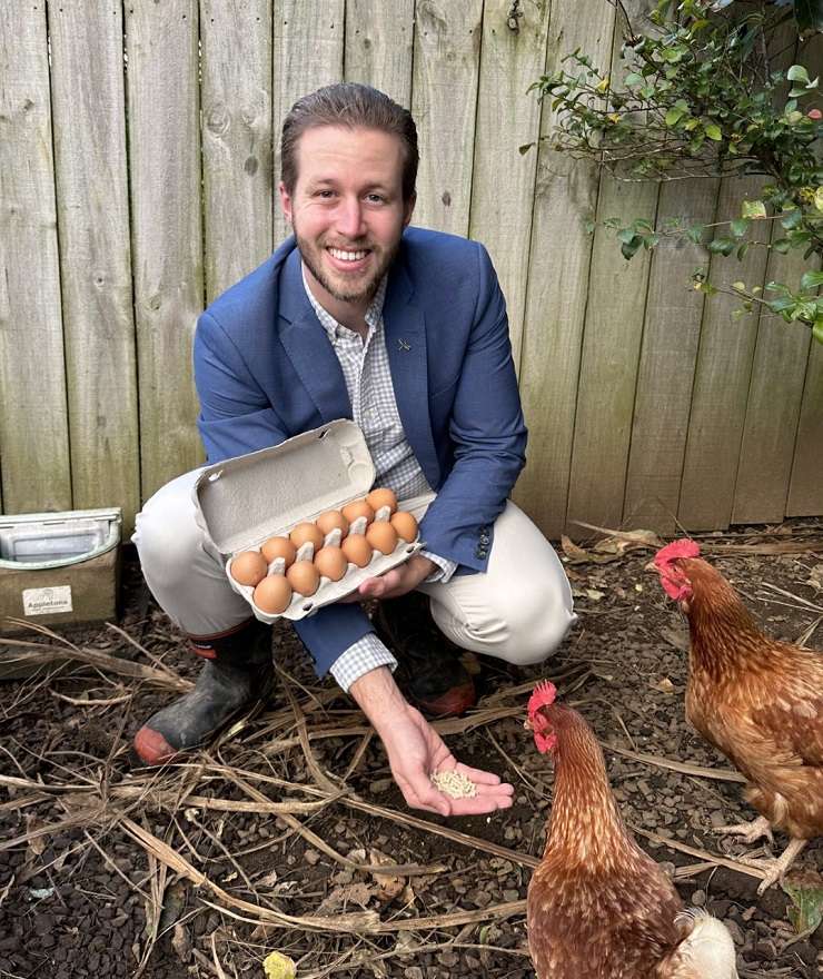 Free eggs for a year for the lucky buyer of this apartment on Mount Eden Road, in Three Kings, Auckland. Photo / Supplied