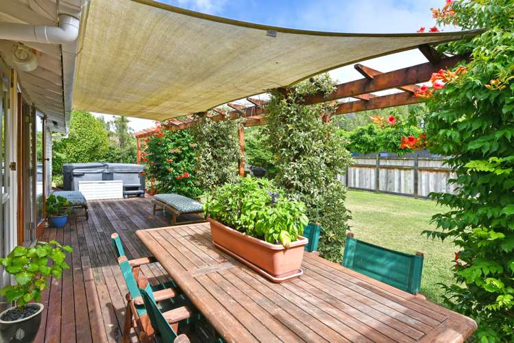 361 Main Road North Brown Owl_5