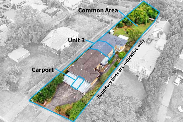 3/113 Seabrook Avenue New Lynn_13