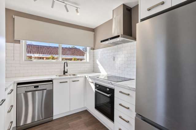 73 Wingate Street Redwood_3
