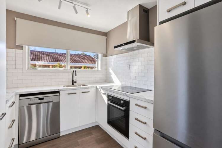 73 Wingate Street Redwood_3