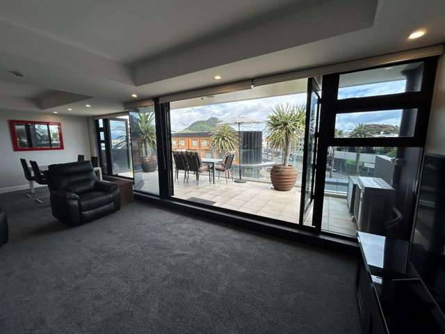 10/314 Maunganui Road 11229_2